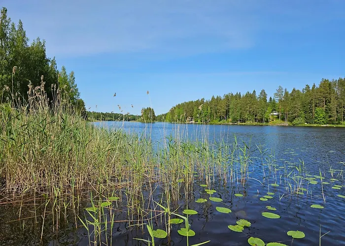 Tuliniemi Siilinjärvi